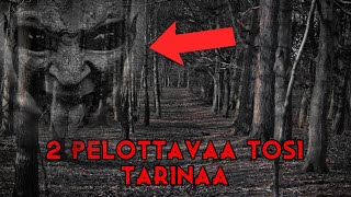 2 Pelottavaa Suomalaista Kauhutarinaa [upl. by Nosemyaj250]