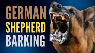 20 Minutes Of Non Stop German Shepherd Barking Aggressive German Shepherd Dog Bark Compilation [upl. by Ecyle]