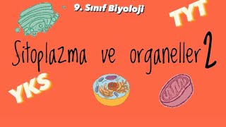 9sınıf Sitoplazma ve organeller 2 [upl. by Map]