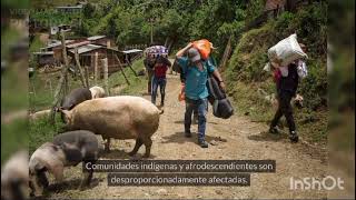 Documental desplazamiento forzado en colombia [upl. by Josler]