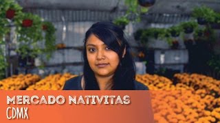 Mercado de Nativitas en Iztapalapa el paraíso de las flores [upl. by Kera]