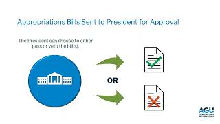 Science Funding The Appropriations Process [upl. by Burt]