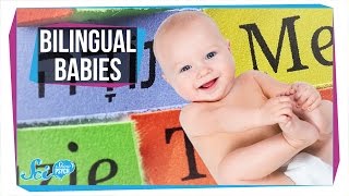 How Do Babies Become Bilingual [upl. by Eimam209]