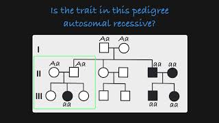 Autosomal Recessive Traits in a Pedigree [upl. by Tchao]