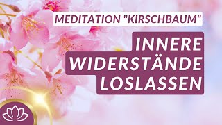 Wohltuende Meditation für mehr Vertrauen in das Leben [upl. by Yrovi]