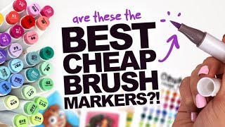 BEST CHEAP BRUSHMARKERS  Ohuhu DualTip BrushChisel Tip Markers  48 set [upl. by Eicarg243]