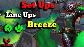 VIPER Setups y Lineups Breeze  VIPER GUIA COMPLETA 2024 [upl. by Lillian722]