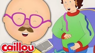 Caillou the Prankster  Caillous New Adventures  Season 3 Episode 18 [upl. by Onairam]