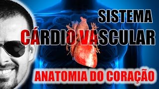 Sistema Cardiovascular  Coração Anatomia localização e envoltórios camadas  VideoAula 045 [upl. by Benge]