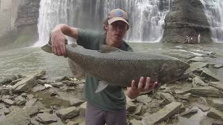 Genesee River Salmon Fishing Lower Falls [upl. by Greabe]