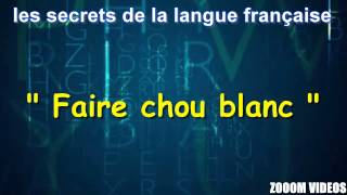 Les Secrets De La Langue Française  Faire chou blanc [upl. by Eigla]