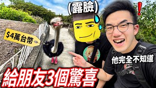 【有感筆電】我抓「鴕鳥先生」本人露臉了！一起去台灣最大的動物園VLOG！買下40000元的神秘大禮看朋友收到的反應是 他跳了科目三💀 [upl. by Woo]