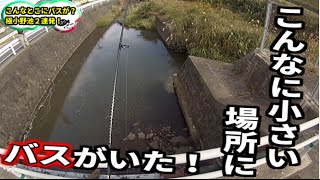 誰でも投げれば100匹釣れる夢の島行ってきた＃２ バス釣り Bass fishing in Japan [upl. by Delwin867]