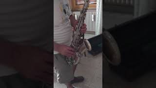 Buescher True Tone alto saxophone [upl. by Nnaeirelav]