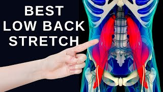 1 Best Low Back Stretch for Lower Back Pain Relief [upl. by Gusti]