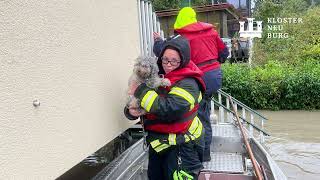 Hochwasser 2024 Klosterneuburg [upl. by Tound]