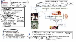 2 RM19 2V ENDOCRINO DÍA 1 HIPOPITUITARISMO [upl. by Volkan808]