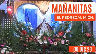 MAÑANITAS a la Virgen de la Salud  El Pedregal Michoacán– 08 de diciembre de 2023 [upl. by Brockwell]