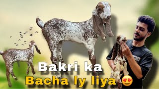 Bakri K New BaBy Ly Ay 😍 Mandi Main Entry 😎✌️ [upl. by Chevalier]