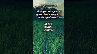 What  of a grass plant’s weight is made up of water shorts agriculture farming farmcredit [upl. by Ahsratal684]