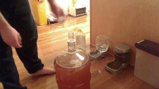 How to Make Apfelwein part 22 [upl. by Erb]