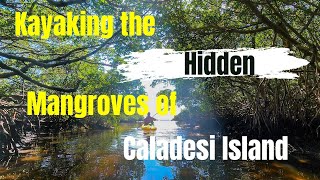 Kayaking the hidden Mangroves Of Caladesi Island [upl. by Anaili]