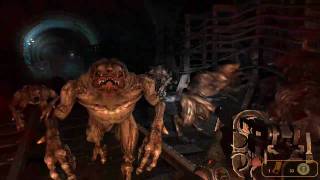 Metro 2033  Gameplay on Phenom II X4 965  8GB RAM  HD 5870 [upl. by Sada]