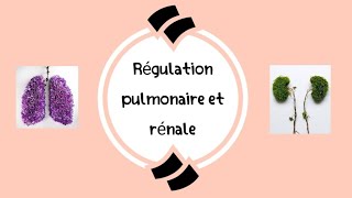 léquilibre acidobasique partie 02  La régulation pulmonaire et rénale شرح مفصل بالعربية [upl. by Negrom]