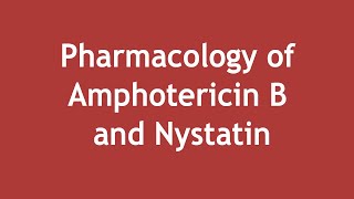 Pharmacology of Amphotericin B and Nystatin ENGLISH  Dr Shikha Parmar [upl. by Arrakat585]