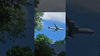 Airplane flying over Queens Park [upl. by Lleval]