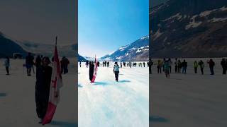 Athabasca Glacier alberta canada snow glacier shorts short shortvideo shortsvideo [upl. by Fabio]