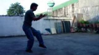 Choy Lee Fut  Hua Quan  Flower Fist Form [upl. by Cas]