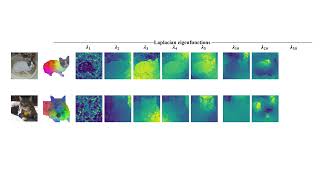 ECCV 2024ZeroShot Image Feature Consensus with Deep Functional Maps [upl. by Noteek]