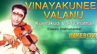 Vinayakunee Valanu  Kunnakudi Vaidyanathan [upl. by Muire]