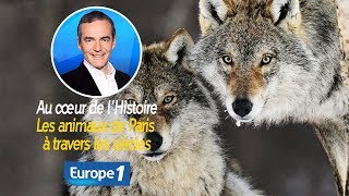 Au cœur de lhistoire Les animaux de Paris à travers les siècles Franck Ferrand [upl. by Asir219]