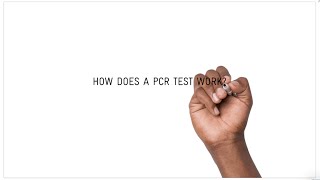 How does a COVID19 PCR test work [upl. by Ricardama]