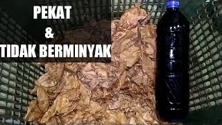 CARA MEMBUAT EKSTRAK DAUN KETAPANG [upl. by Anyar]