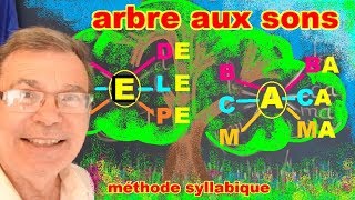 Arbre aux sons pour apprendre à lire les syllabes en maternelle gs cp [upl. by Phaidra]