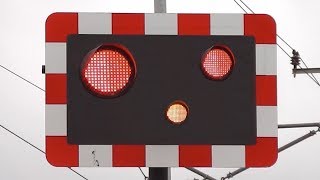 Railway Crossing Lights Gone Crazy [upl. by Luapnhoj]