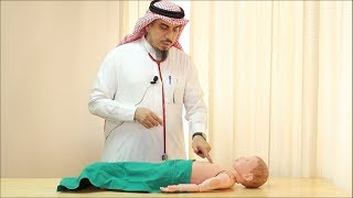 Pediatric Cardiovascular Assessment Physical Examination  Dr Zaher Faisal Zaher [upl. by Idnahc]