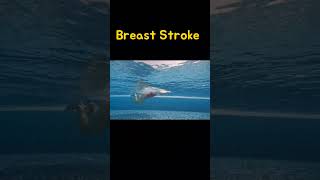 Breast Stroke [upl. by Frymire]