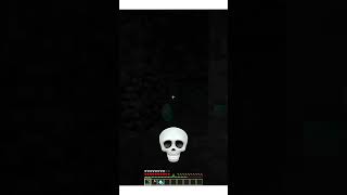 WTF☠️ shorts minecraft [upl. by Cud]