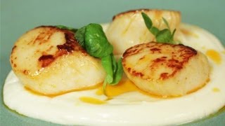 Seared Scallops With Chorizo Butter Cauliflower Puree And Pea Shoots Simply Gourmet [upl. by Nodyarg]