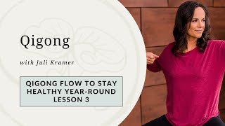 Master YearRound Health with Qigong Lesson 3 [upl. by Iasi]