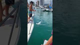 Catch this Unbelievable Experience Fishing in Hawaii [upl. by Lig770]