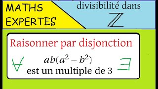 Divisibilité dans Z  Maths expertes  Raisonner par disjonction  aba²b² multiple de 3 [upl. by Delwyn385]