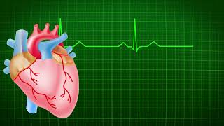 3D Heart Animation Heart Beats  Heart Anatomy  ECG [upl. by Eneroc]