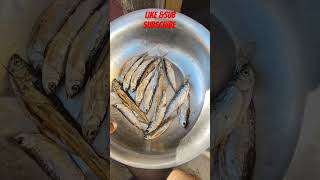 Testy fish in bedesa in canel [upl. by Byrann120]