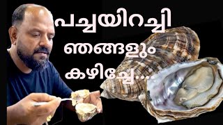 Oyster eating jalanalor [upl. by Nimajnab]