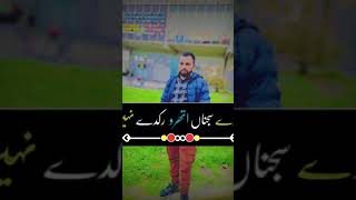 Tahir nayyar song perdasei song [upl. by Huba629]